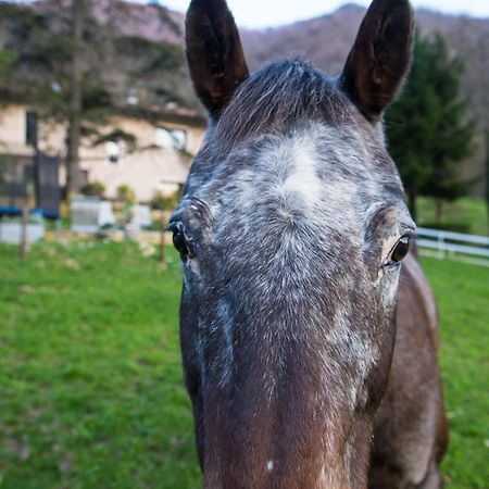 Cascina Canale Sabbio Chiese エクステリア 写真