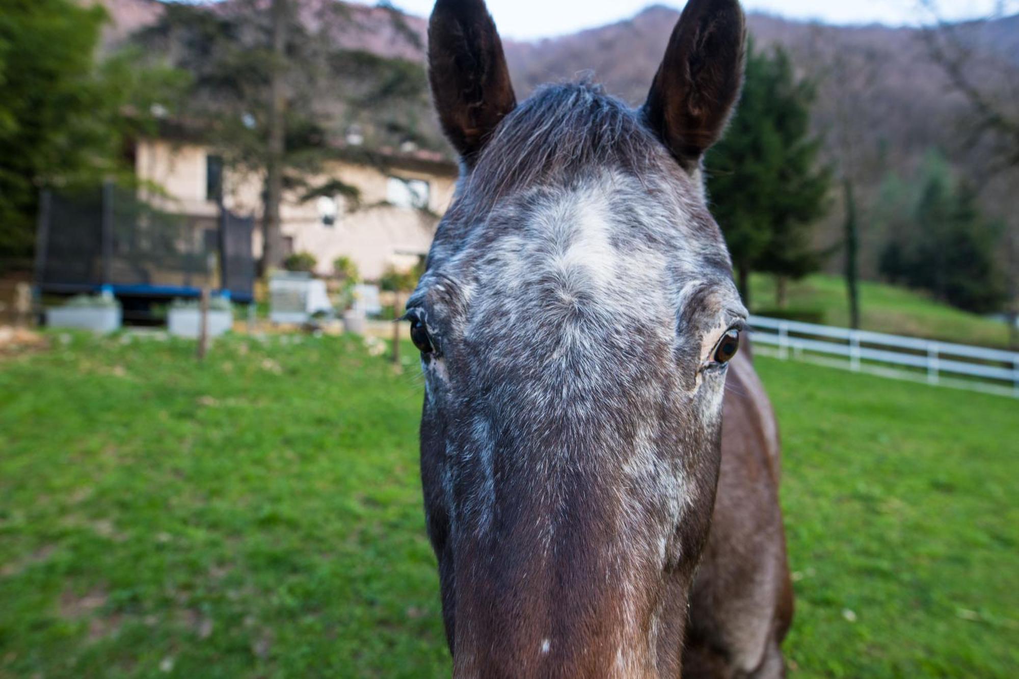 Cascina Canale Sabbio Chiese エクステリア 写真