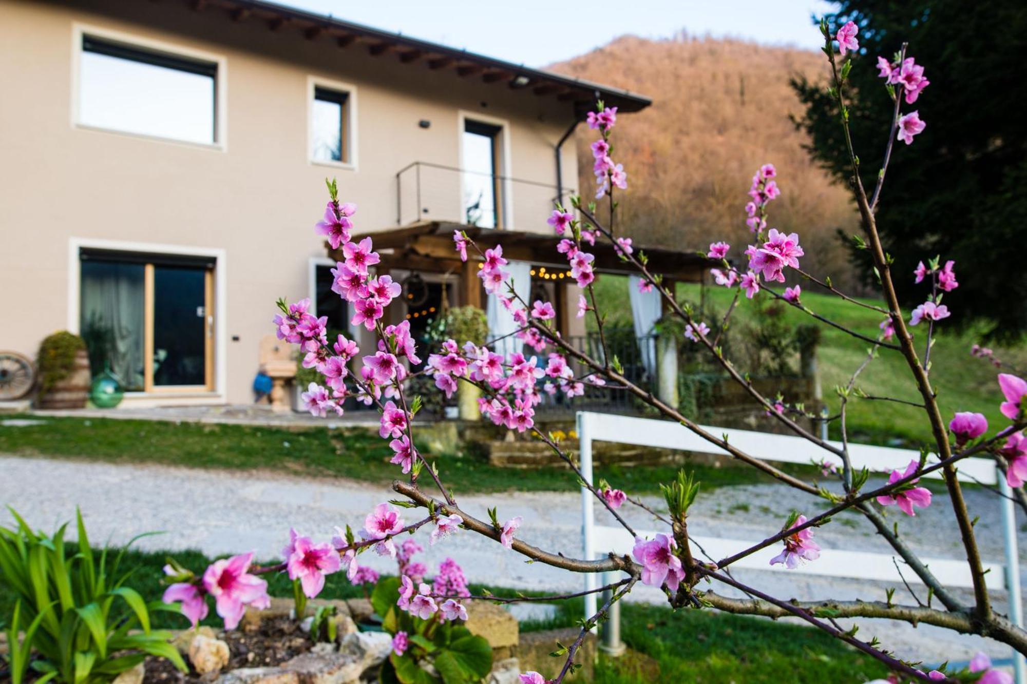 Cascina Canale Sabbio Chiese エクステリア 写真