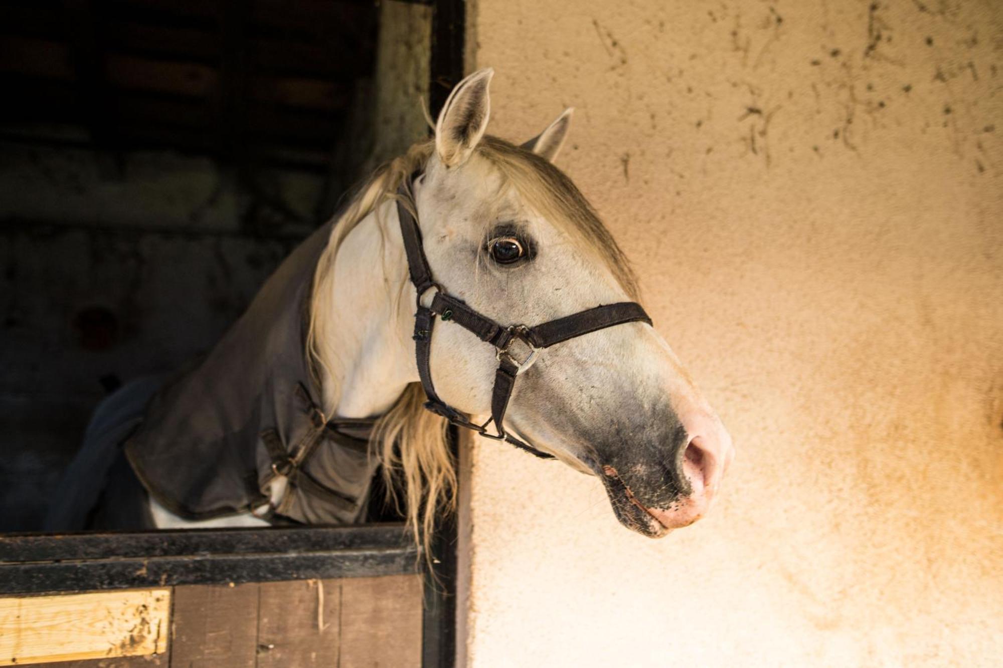 Cascina Canale Sabbio Chiese エクステリア 写真